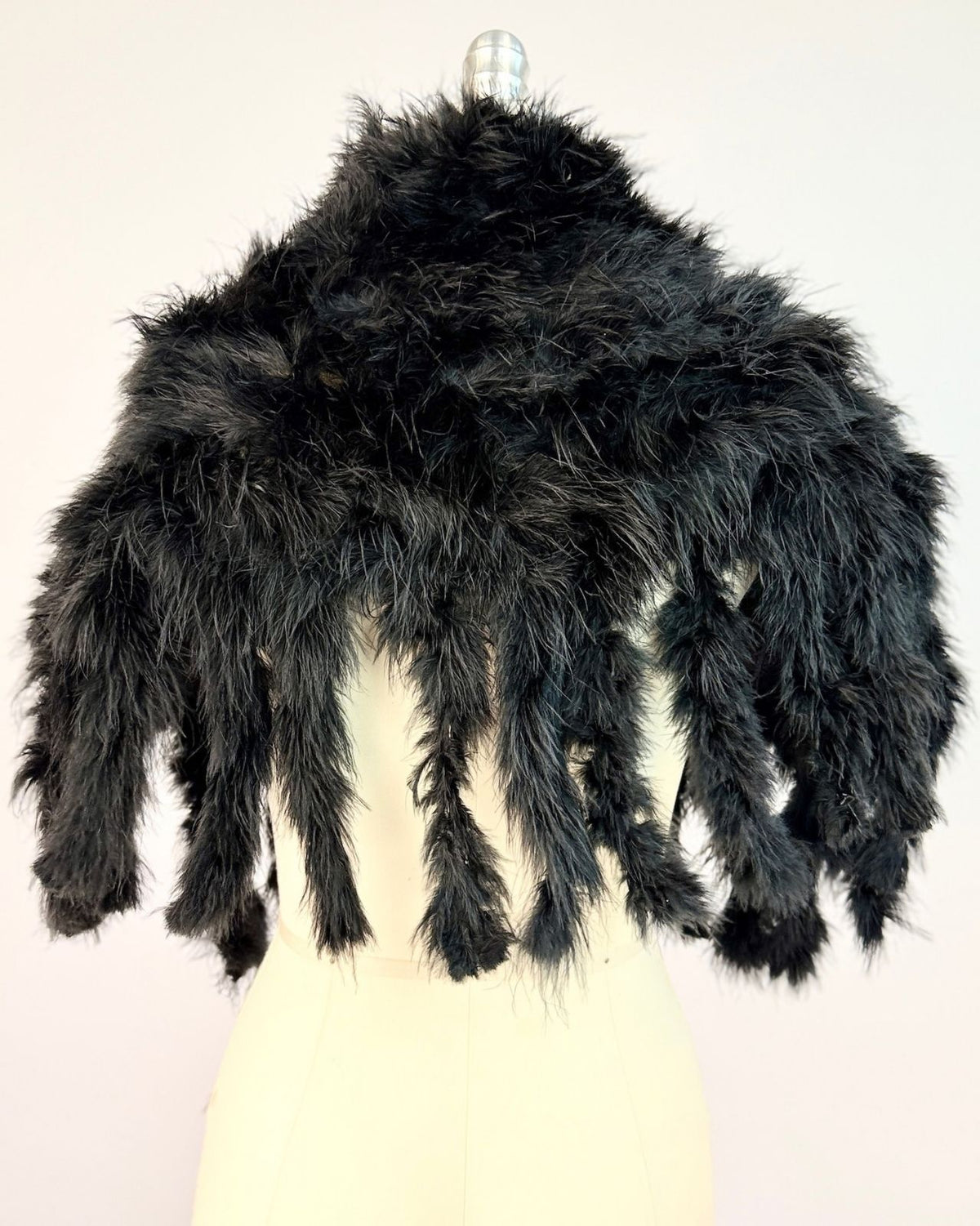 1920's Swan's Down Collar