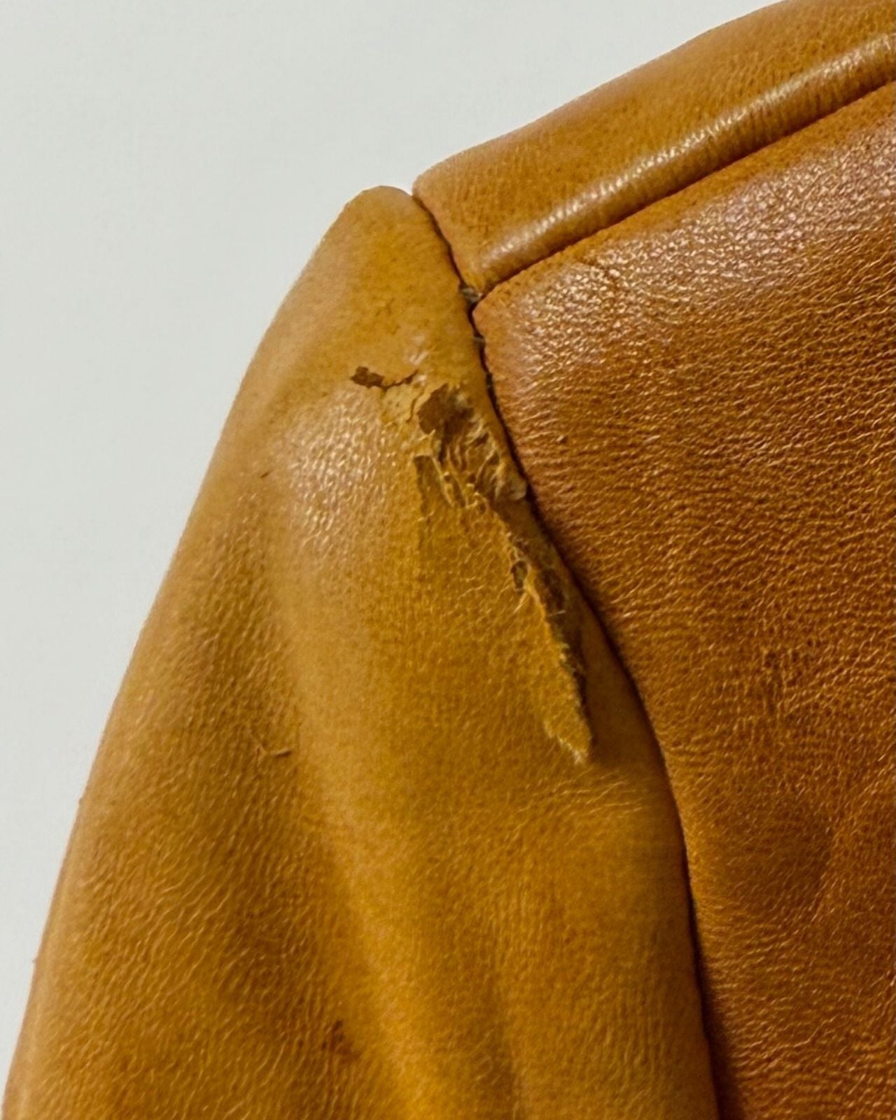 Picture Perfect Penny Lane