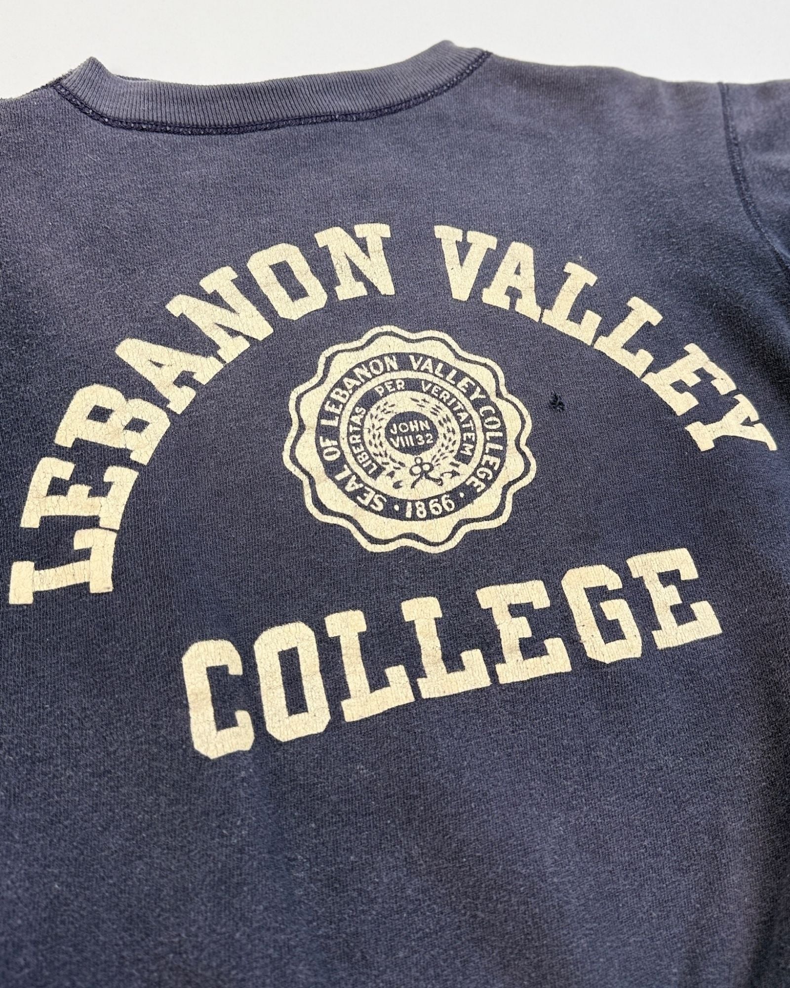 Champion Lebanon Valley Sweatshirt