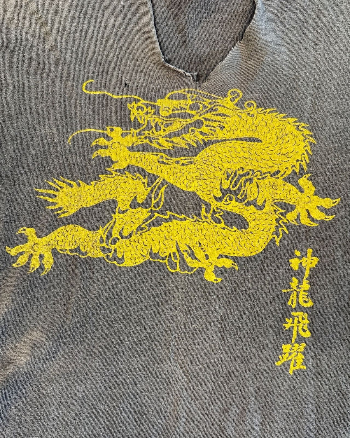 Perfectly Broken In Dragon Tee