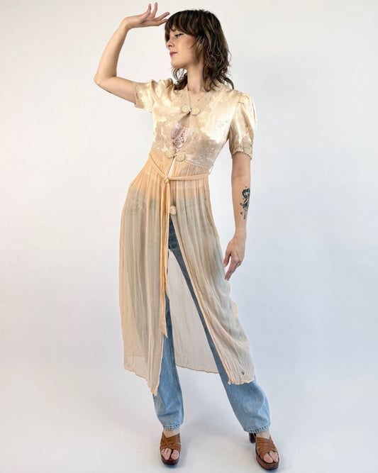 1920s Silk Visions Chiffon Dress