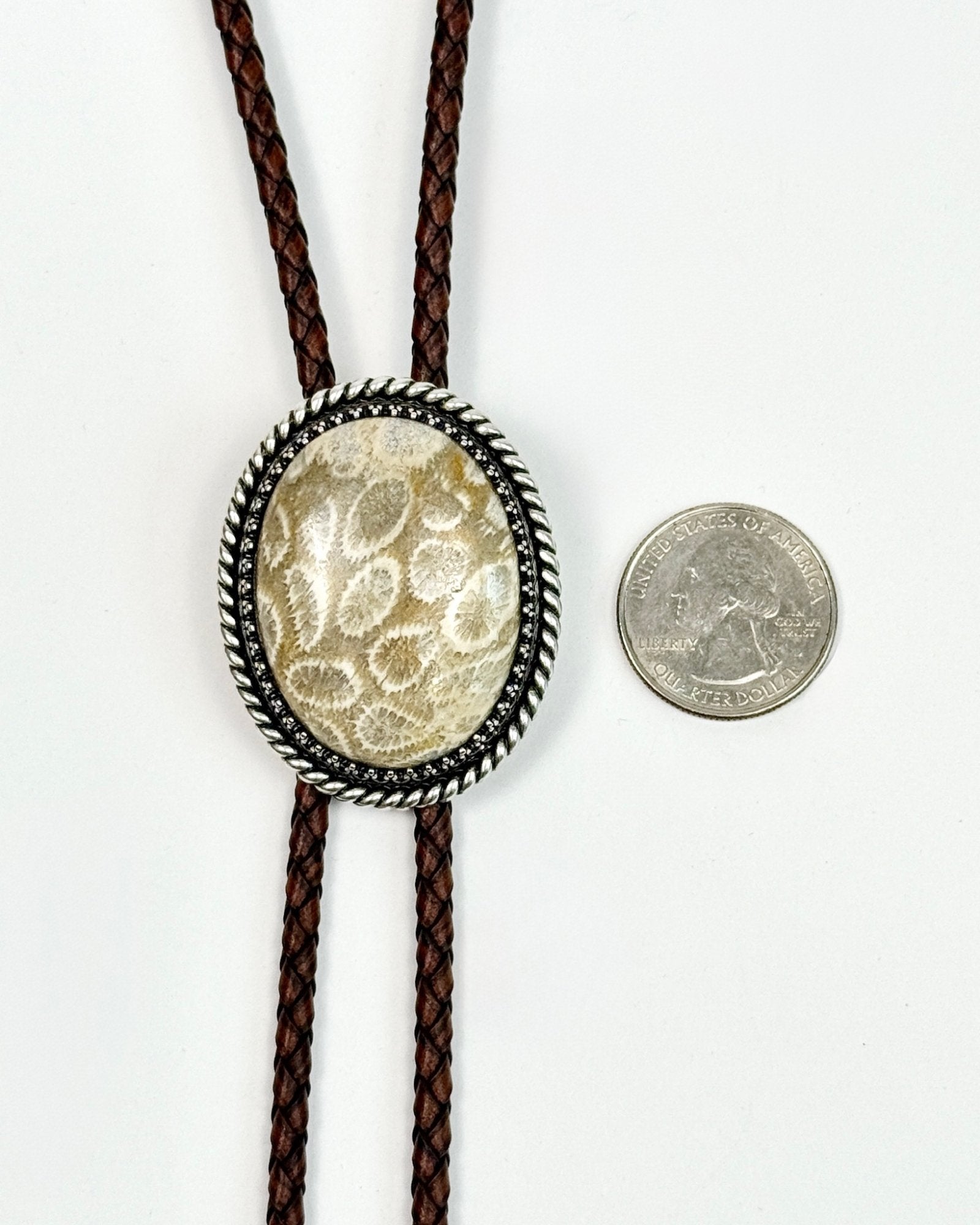 Iron Lamb Fossilized Coral Bolo