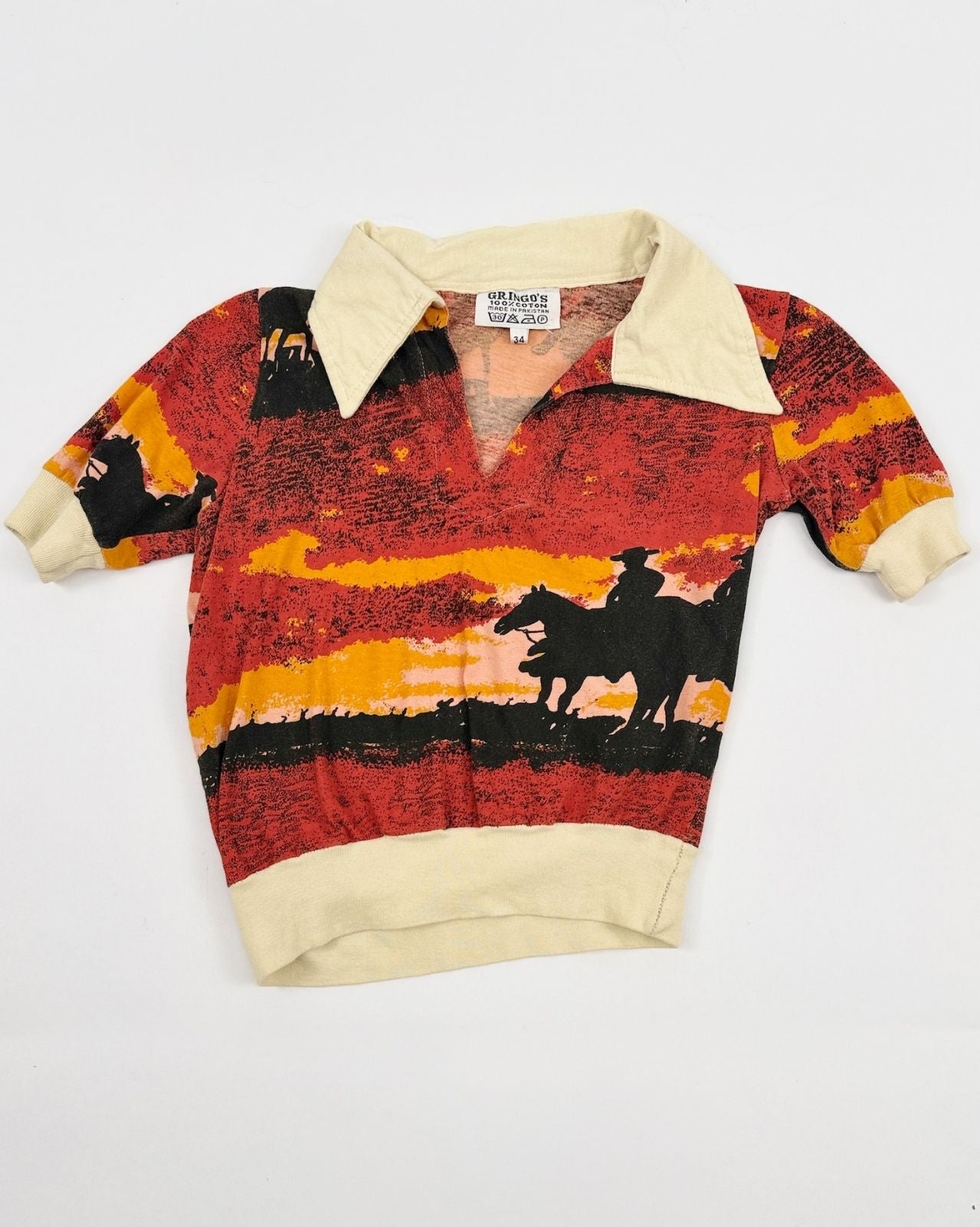 1950s Western Scenic Top