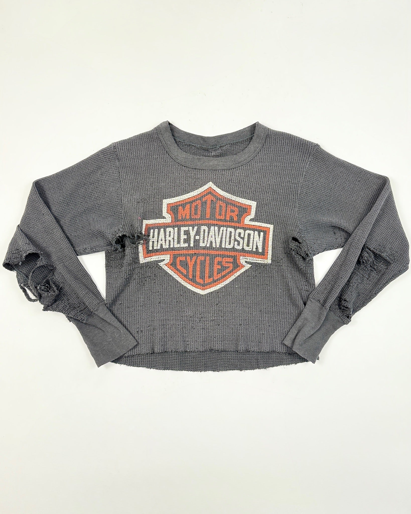 Thrashed Harley Thermal