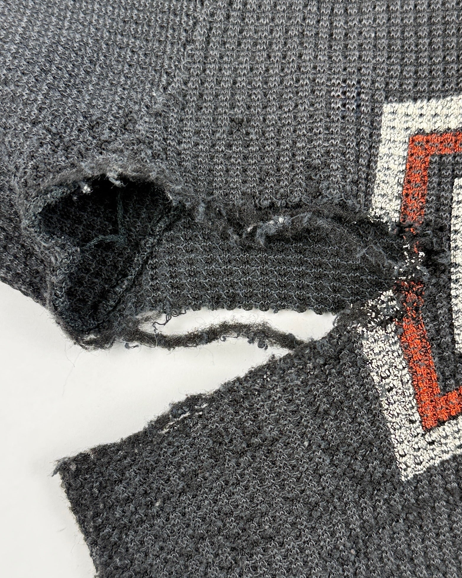 Thrashed Harley Thermal