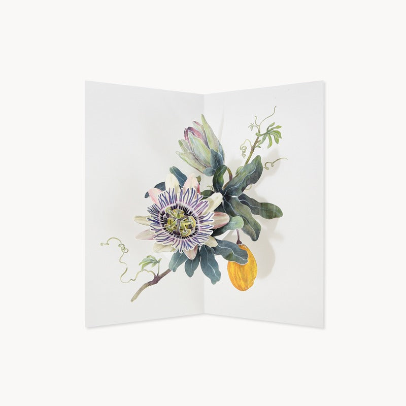 Hiromi Takeda Passion Flower Greeting Card