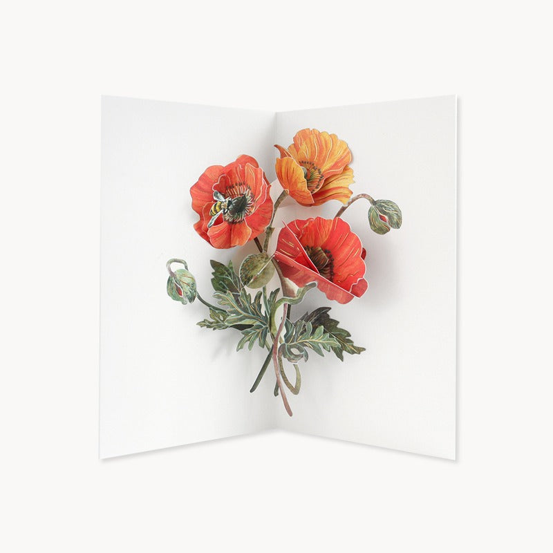 Hiromi Takeda Poppies Flower Greeting Card