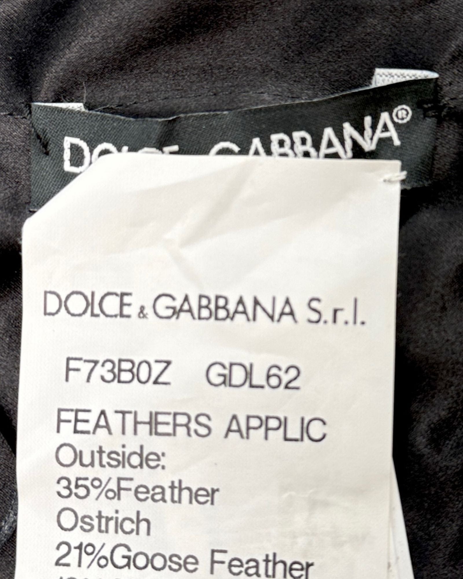 Dolce + Gabbana Black Swan Seduction Feather Corset
