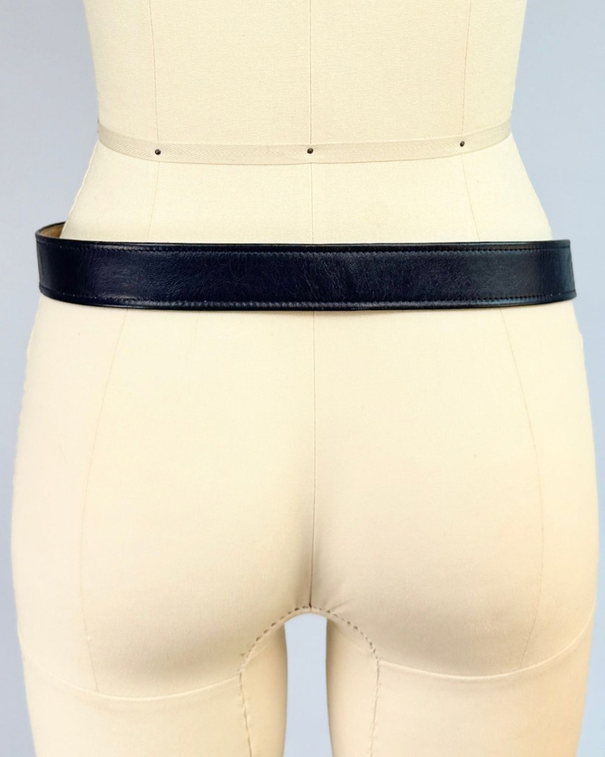 Navy Gold Crest Belt