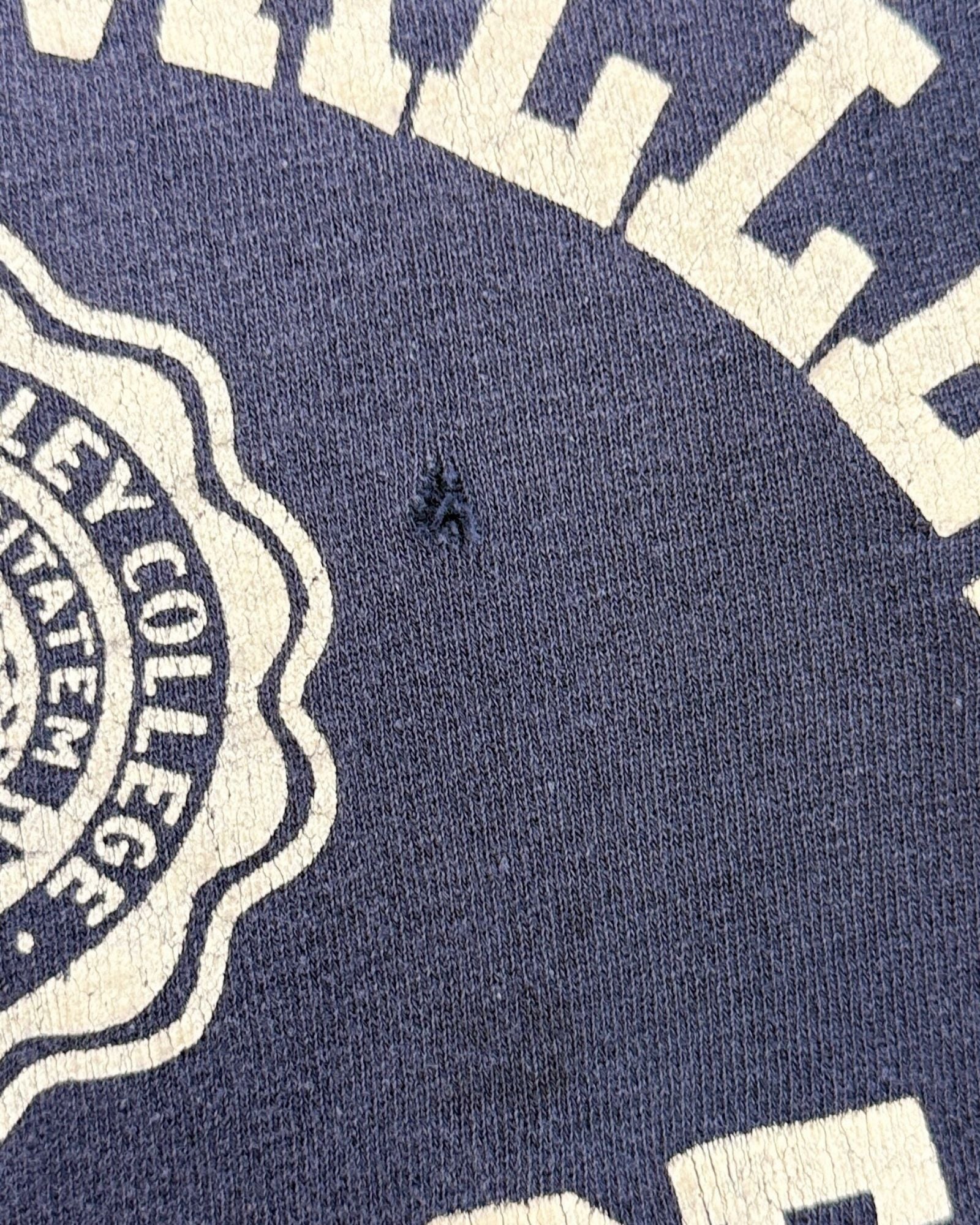 Champion Lebanon Valley Sweatshirt