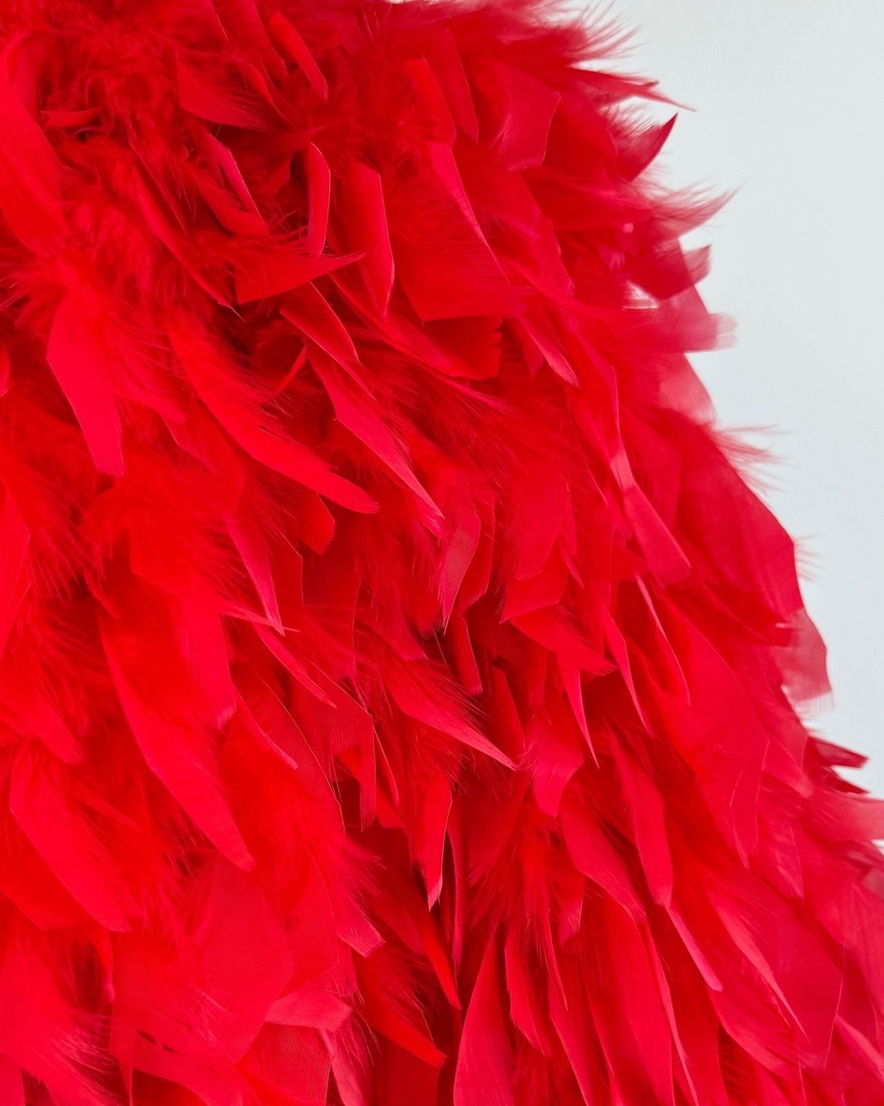 Red Hot in Rio Bolero Jacket