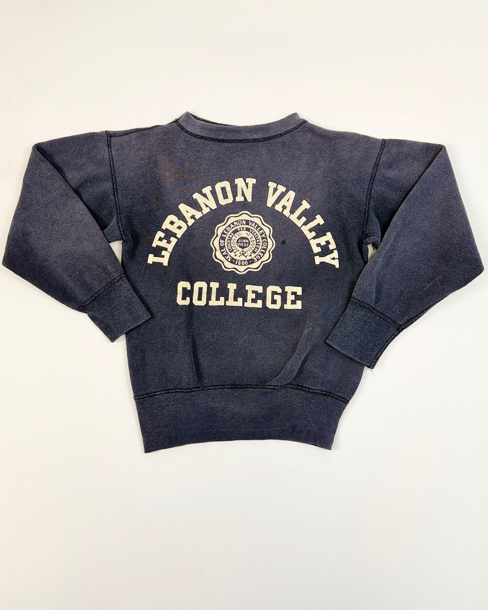 Champion Lebanon Valley Sweatshirt