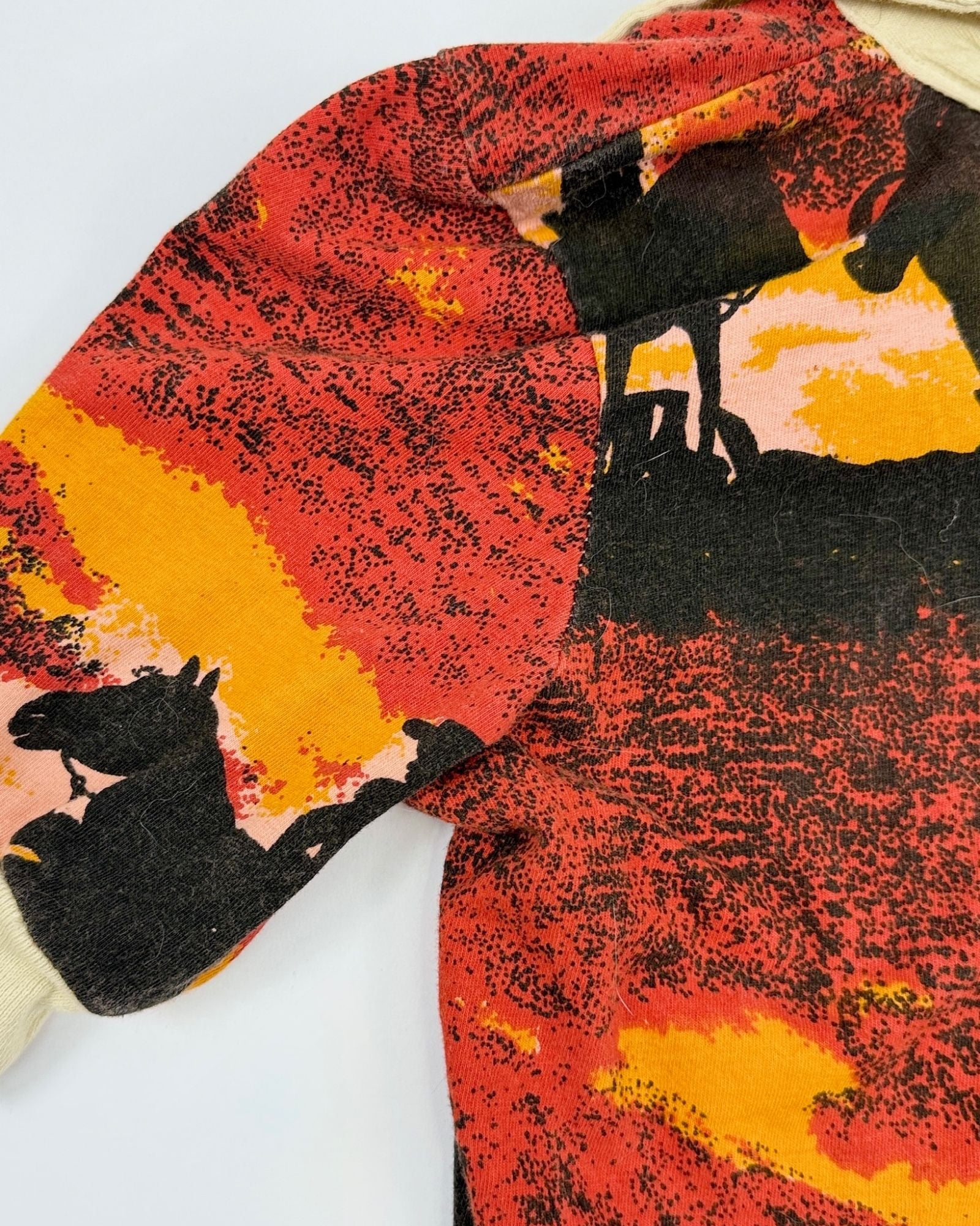 1950s Western Scenic Top