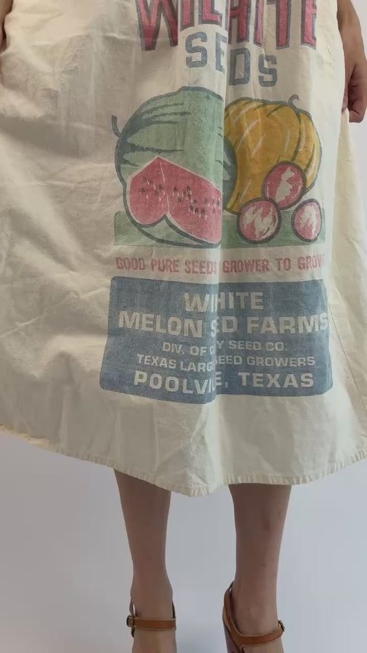 Watermelon Daze Feedsac Dress